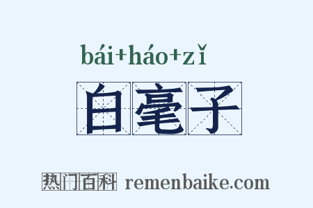 白毫子是什么意思的图片